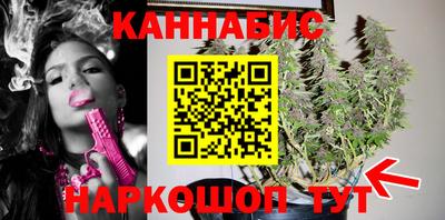 стаф Будённовск