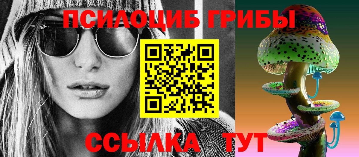 Галлюциногенные грибы Cubensis  Вход с VPN  Нальчик 