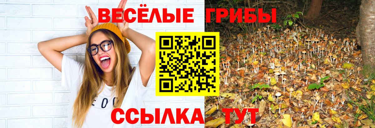 Галлюциногенные грибы Cubensis Нальчик